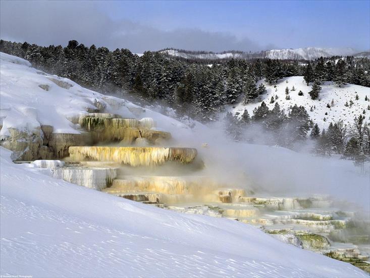 Zima - Mammoth Hot Springs, Yellowstone National Park, Wyoming.jpg