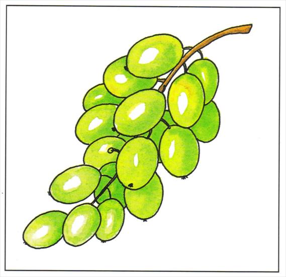 warzywa owoce - winogrona.jpg