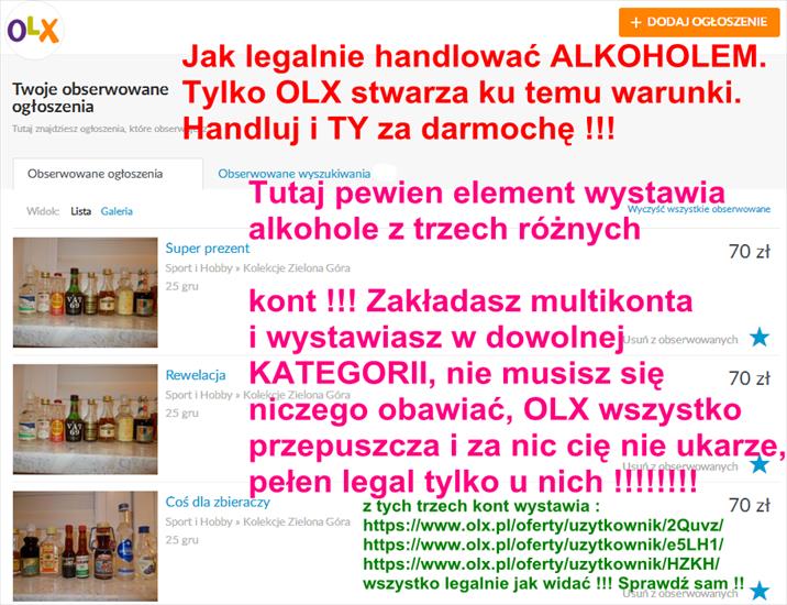 Zacharysiewicz Jan - Copy of 2018-12-27_223735Alk.png