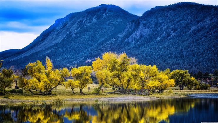 5K - autumn_yellow_trees_reflection_palmer_lake-wallpaper-5120x2880.jpg