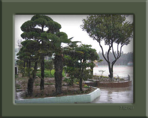 Obrazy z deszczem - 9021393wh2hk4.gif