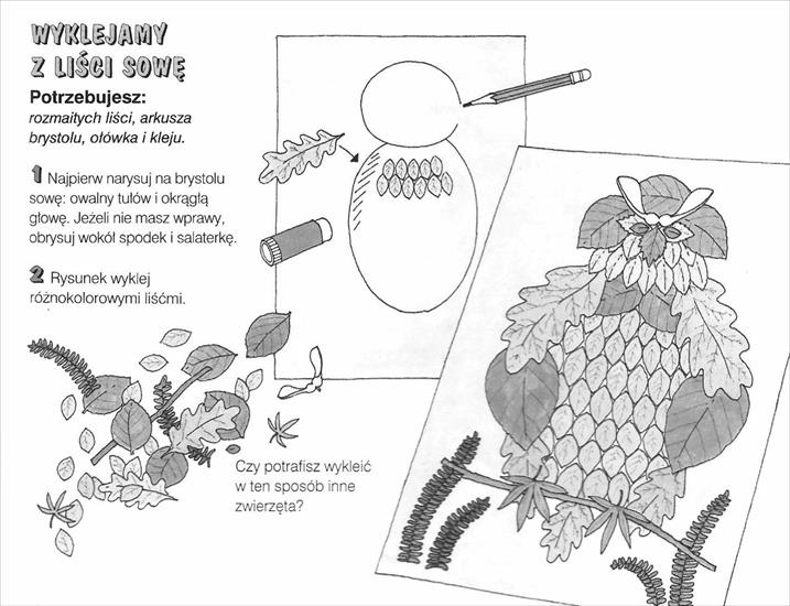liście - sowa z liści.jpg