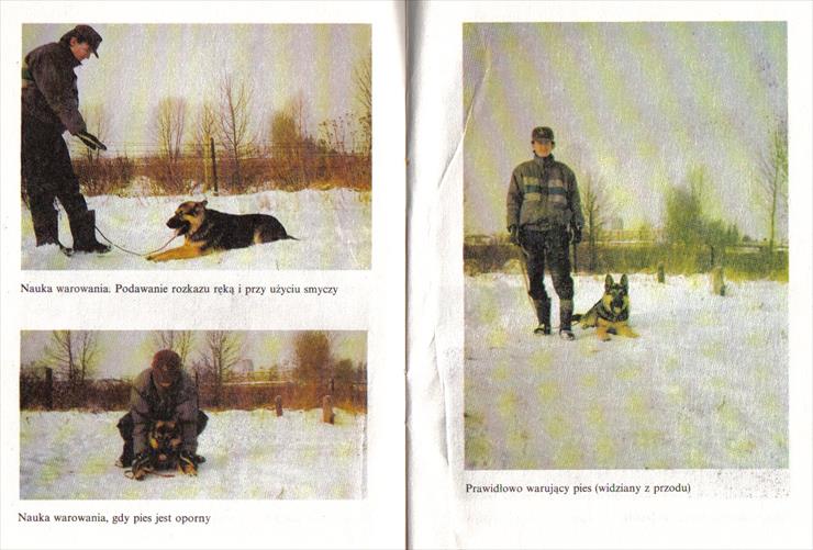Jak szkolić własnego psa - Irena Liniewicz, Leonard Wach e-Book PL - jswp00004.jpg