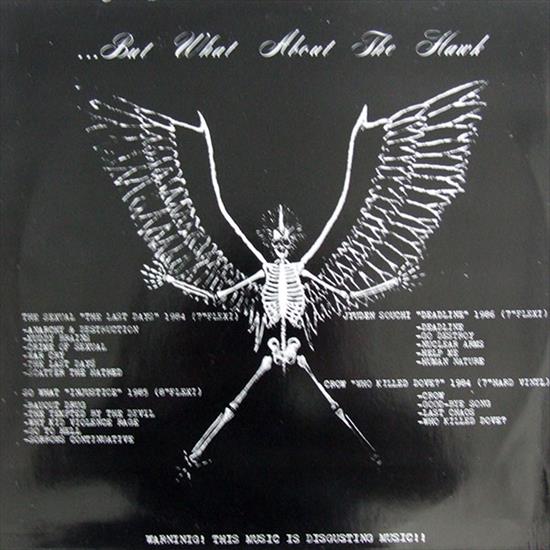 V.A. You Can Set The Dove Free-But What About The Hawk-Lp 1996-BOOT - back.jpg