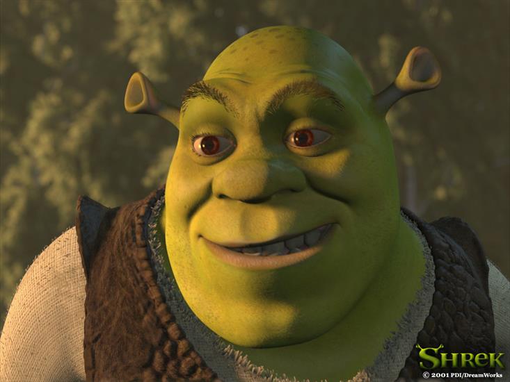 Z bajek - Shrek 1.jpg