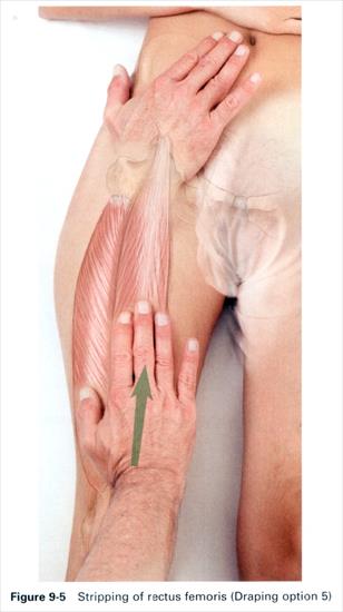 Anatomia masażu - 9-5.JPG