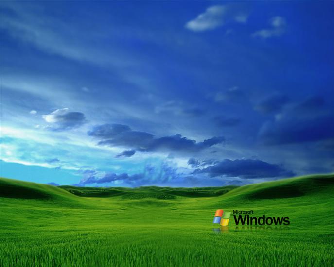 Tapety i Obrazki - Windows mokry.jpg