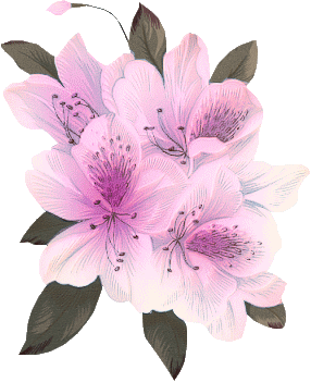 05. Różne kwiaty - ChomikImage51.gif