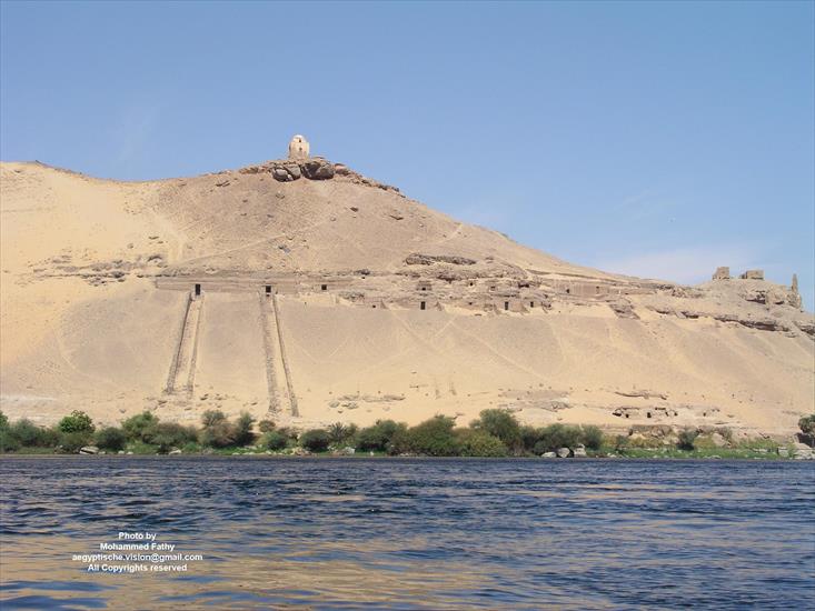 Przyroda - Przyroda w Aswan 366.jpg