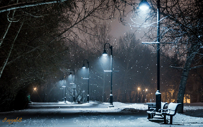 Z I M A   - Aleja parkowa i padający śnieg.jpg