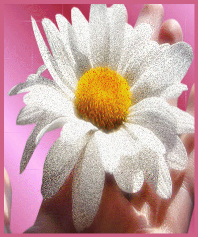 gify kwiatów - 102.gif